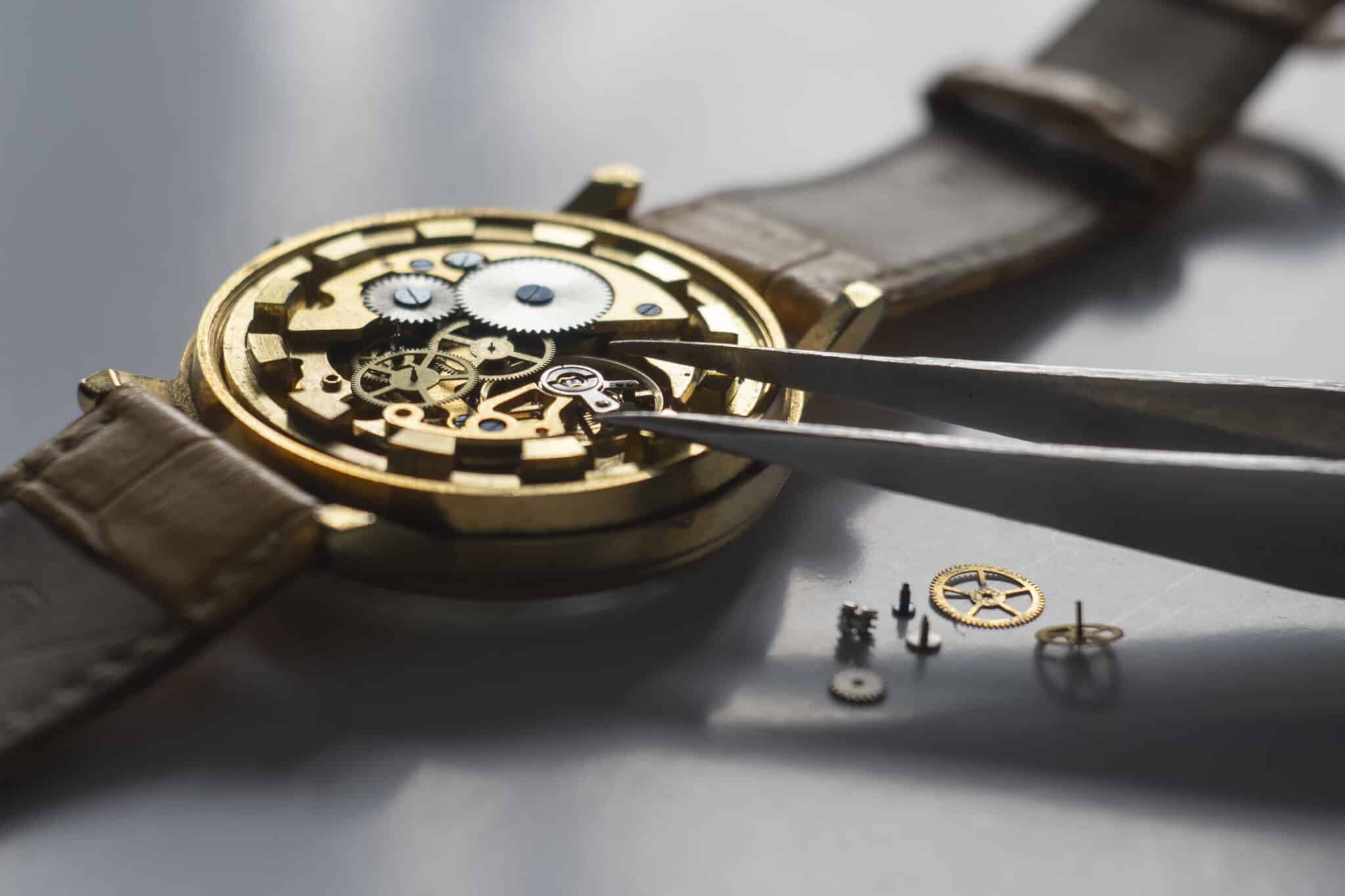 Watch-Wear Brands